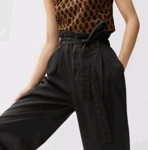 Everlane The Paperbag Pant Wide Leg High Waisted Belt Ovetsize Fit Women